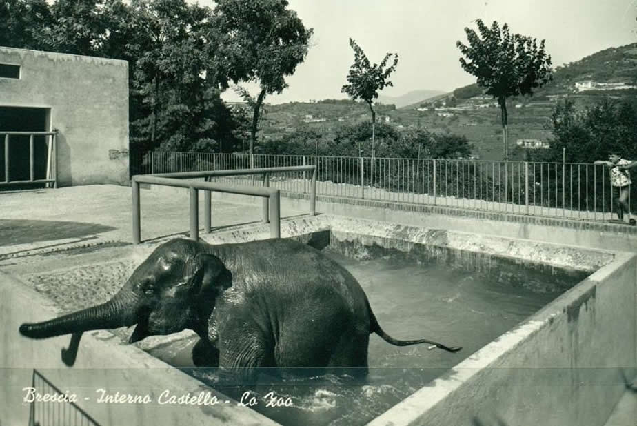 Lo Zoo del Castello di Brescia (1)