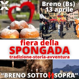 Fiera della Spongada 2025